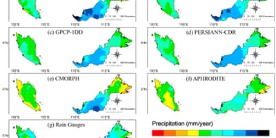 Ringgit floresta mapa