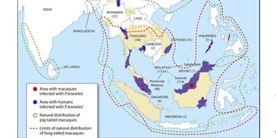 Mapa da malásia malária
